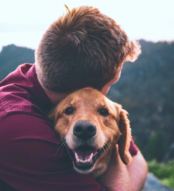 pet